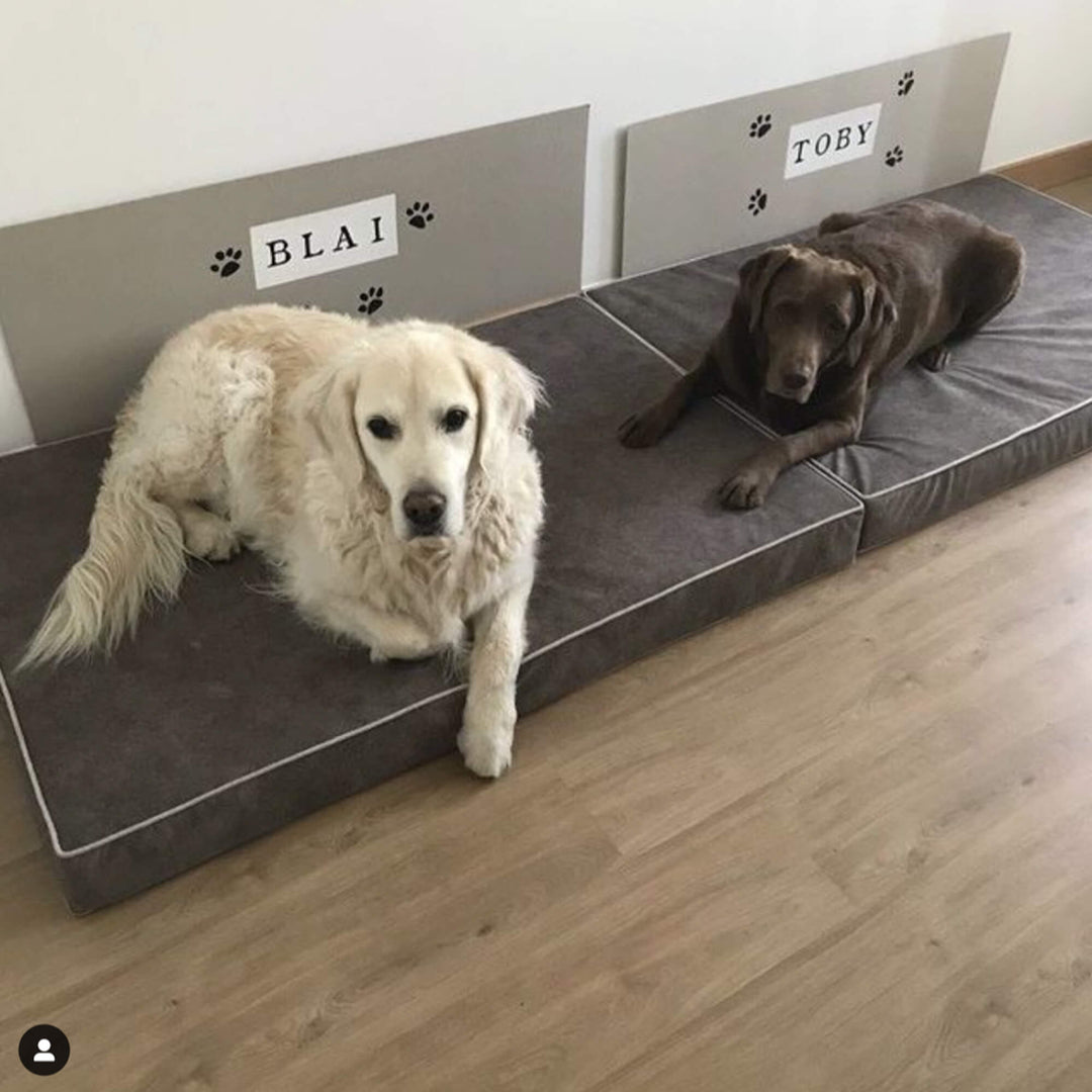 golden y labrador en cama viscoelástica para perros con su nombre bordado