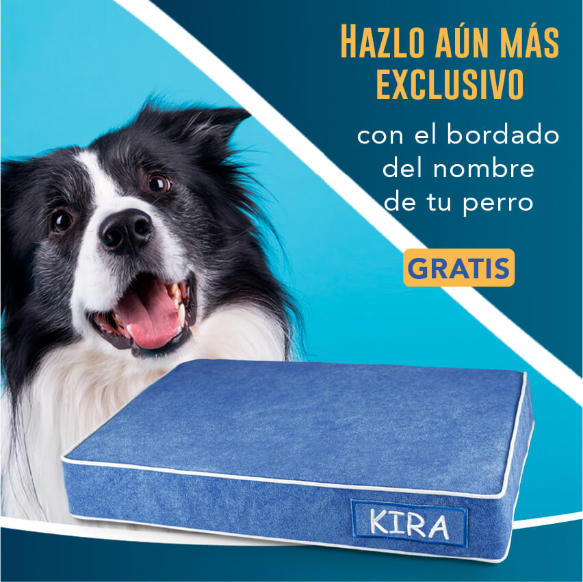 cama viscoelástica para perros con su nombre bordado de baluka mascotas