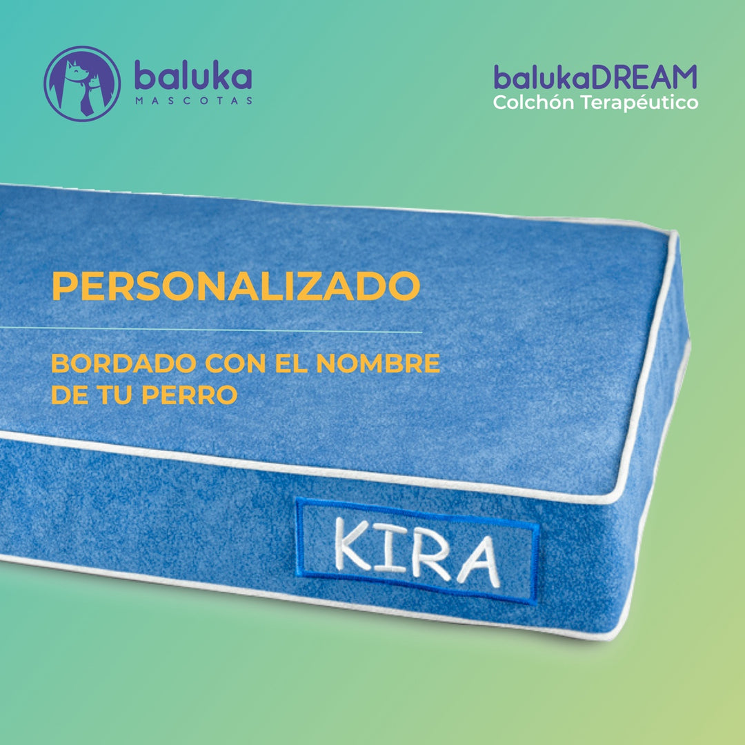 Cama viscoelástica para perro