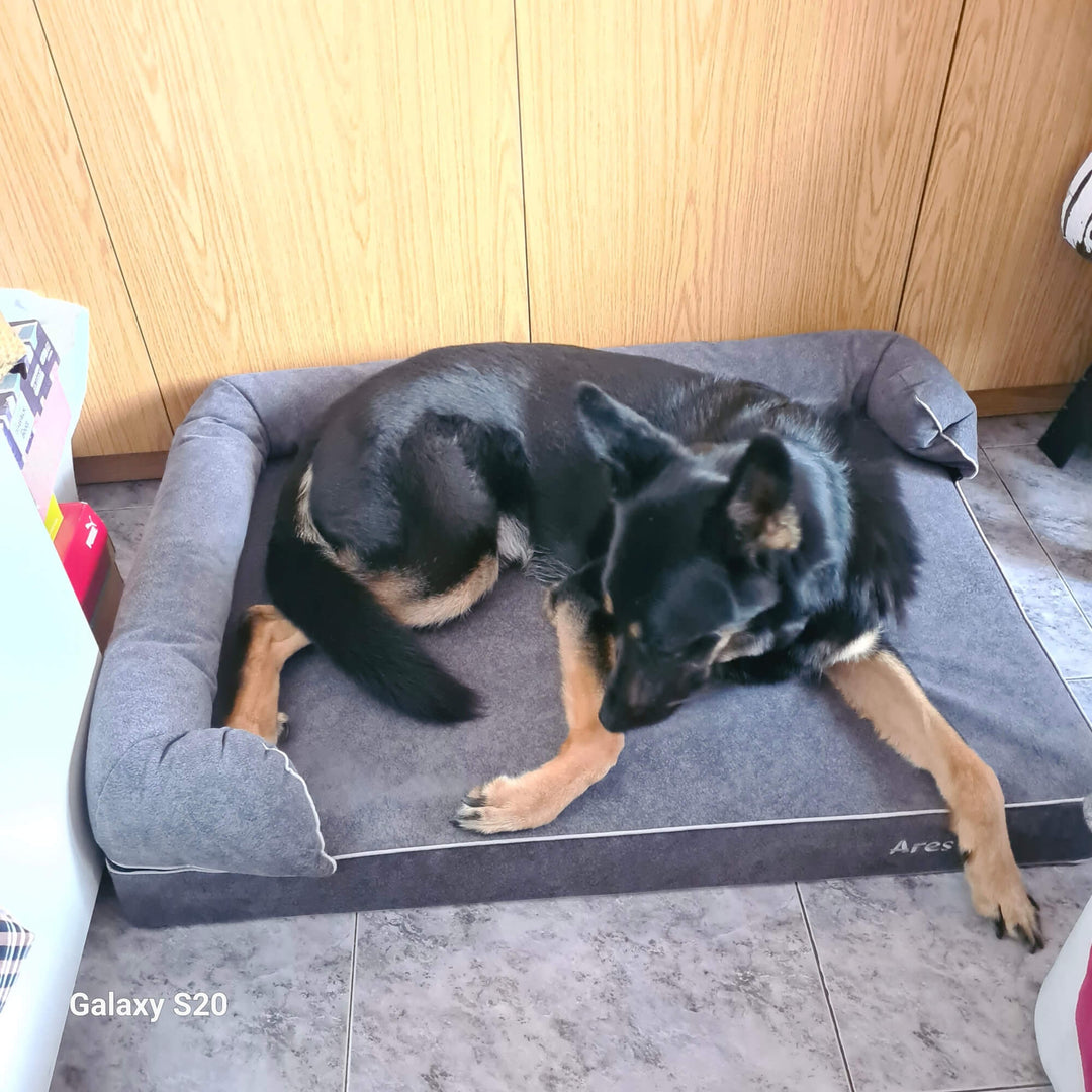 cama viscoelástica para perros con su nombre bordado