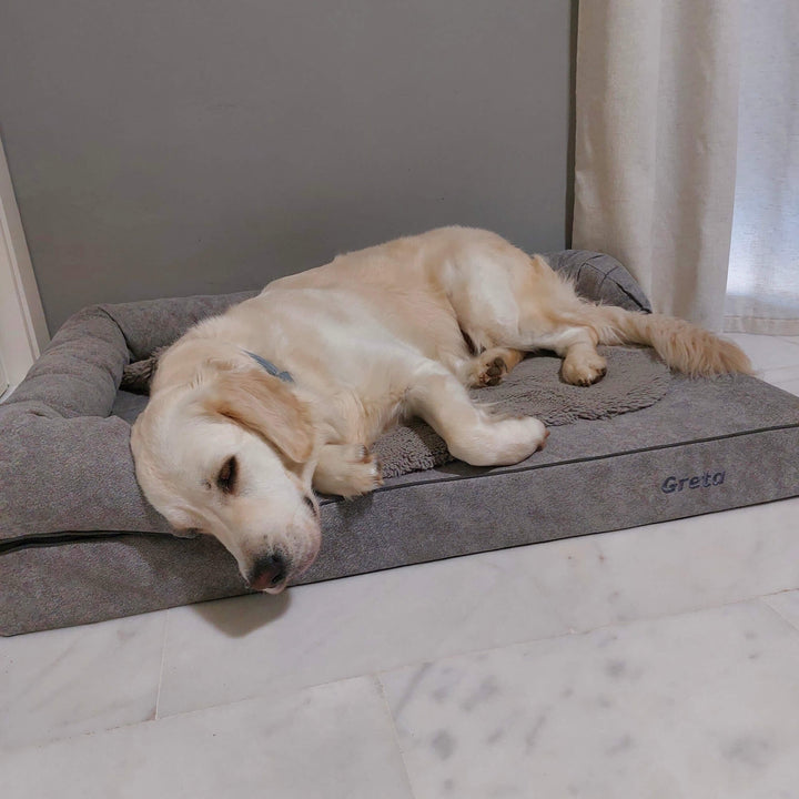 perro golden en cama viscoelástica para perros con su nombre bordado