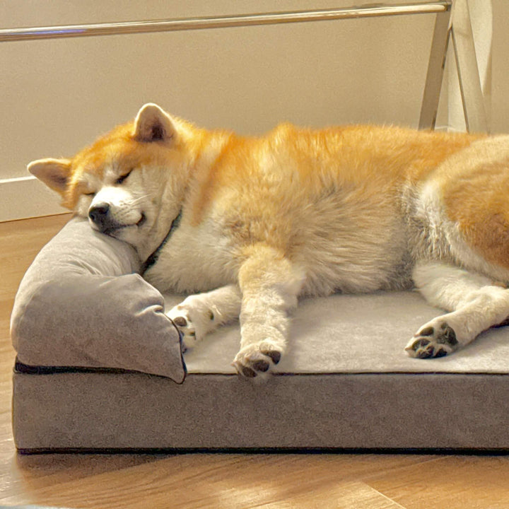 perro en cama viscoelástica para perros con su nombre bordado
