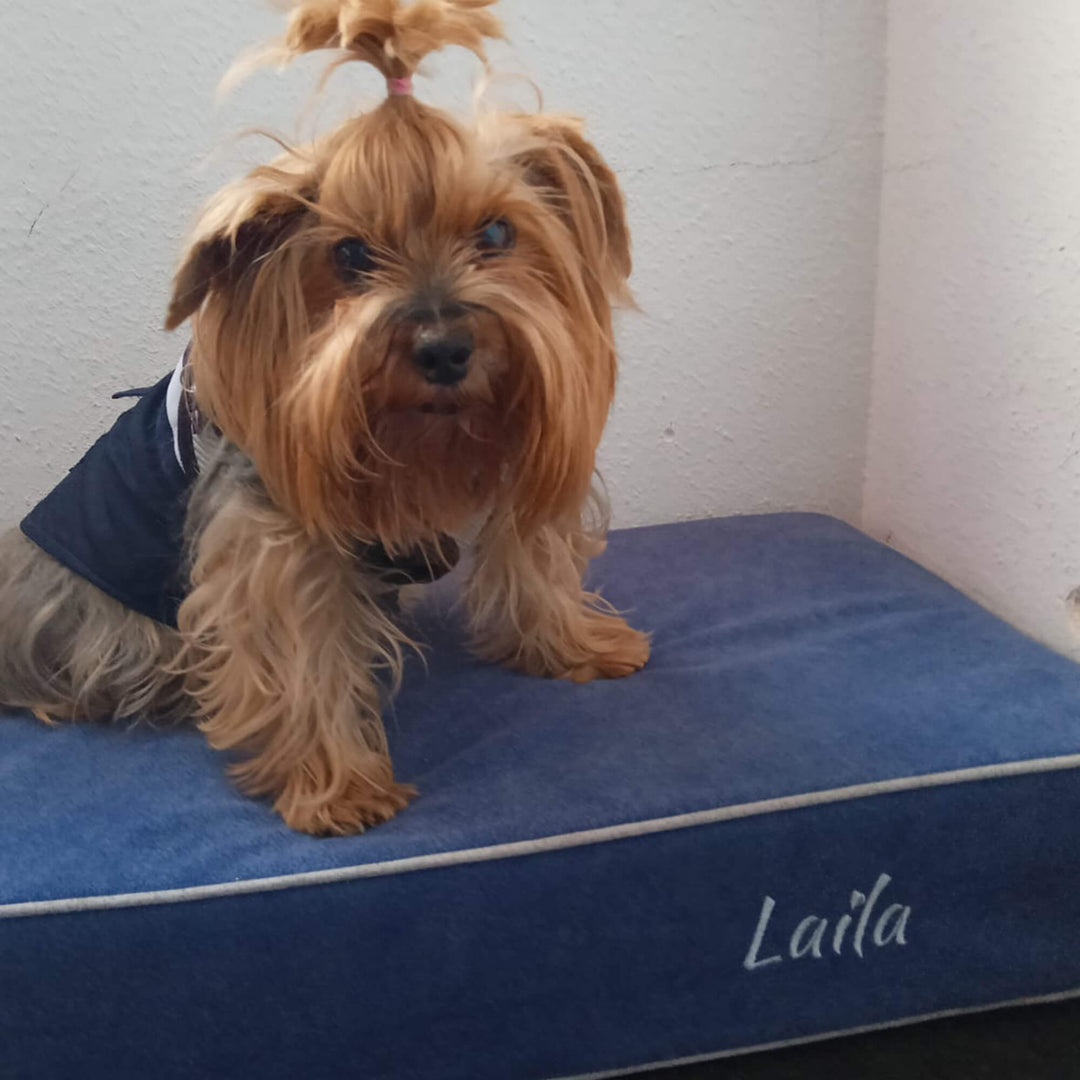 yorkshire en cama viscoelástica para perros con su nombre bordado