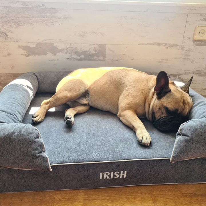 perro mediano en cama viscoelástica para perros con su nombre bordado de baluka mascotas