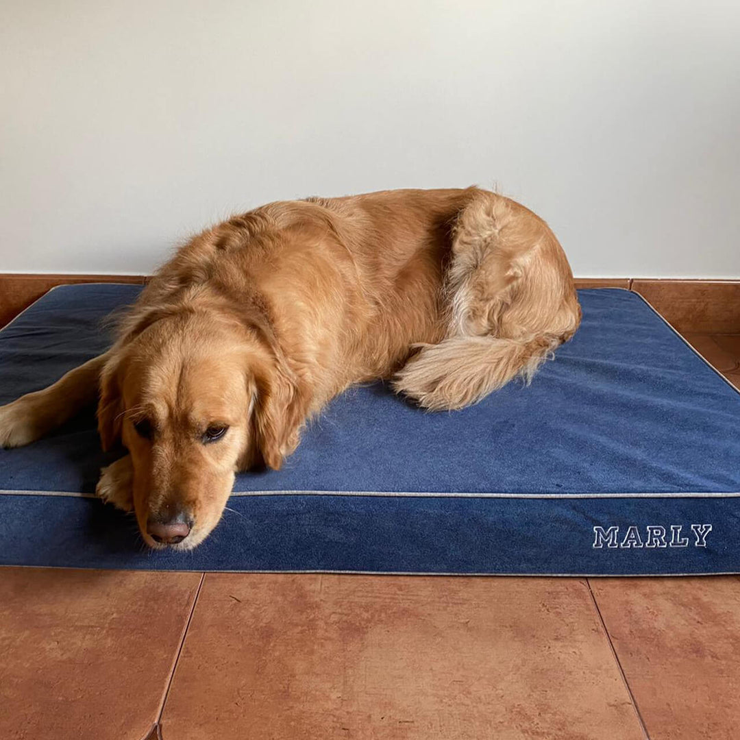 perro en cama viscoelástica para perros con su nombre bordado