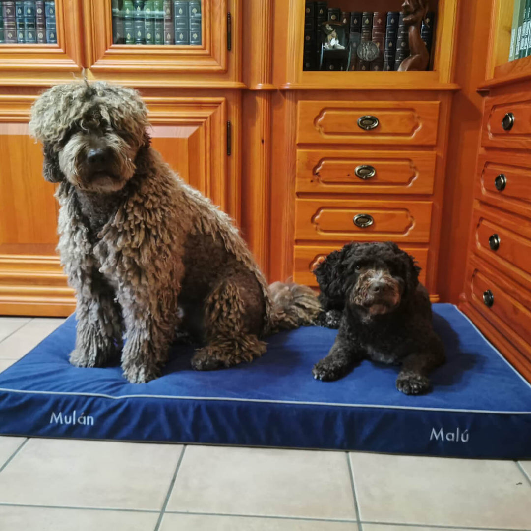 perros en cama viscoelástica para perros con su nombre bordado