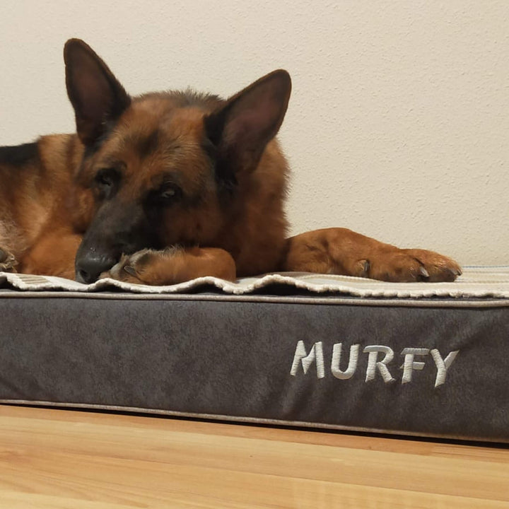 perro pastor alemán en cama viscoelástica para perros con su nombre bordado