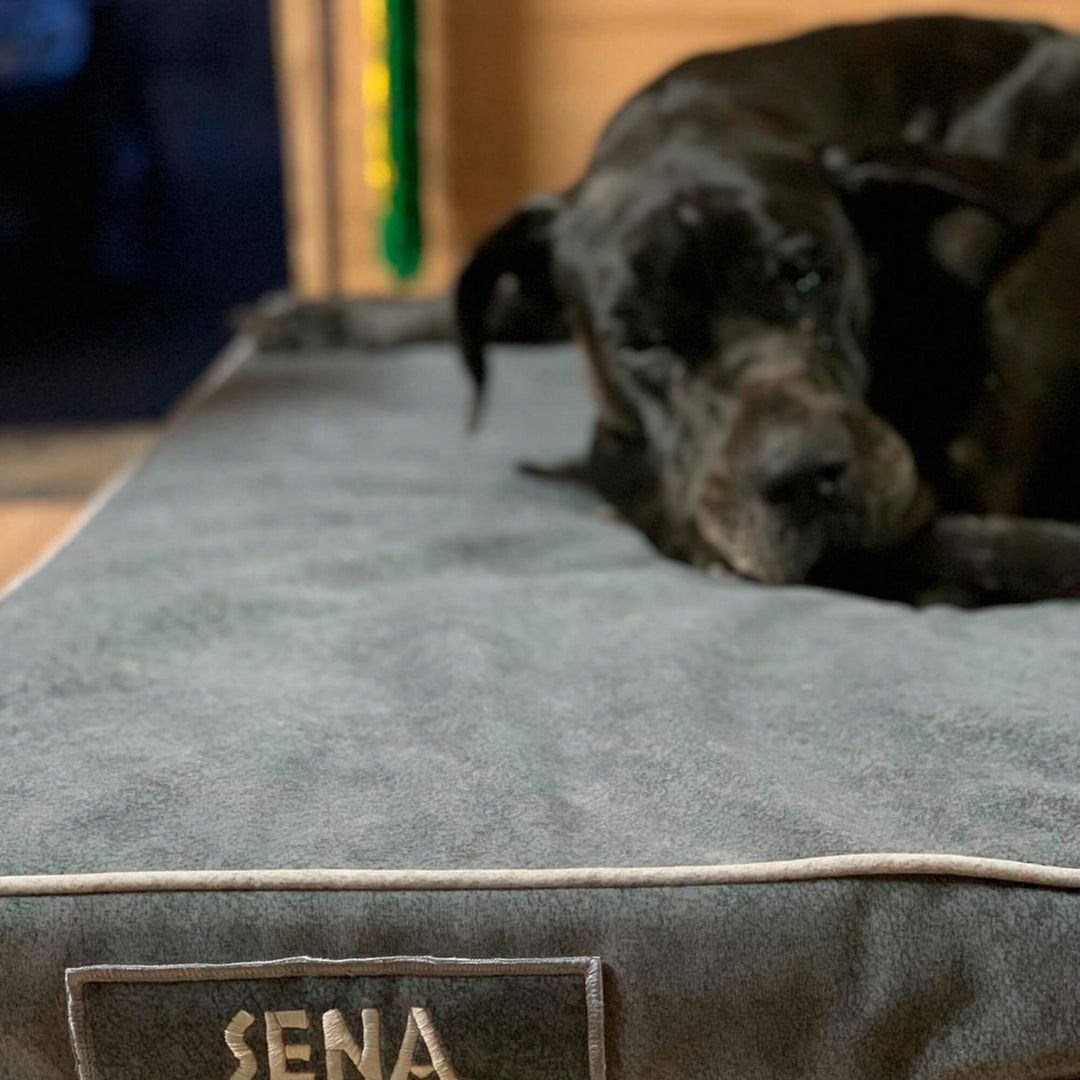 perro en cama viscoelástica para perros con su nombre bordado