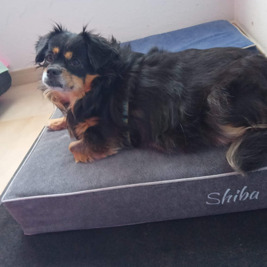 perro en cama viscoelástica para perros con su nombre bordado