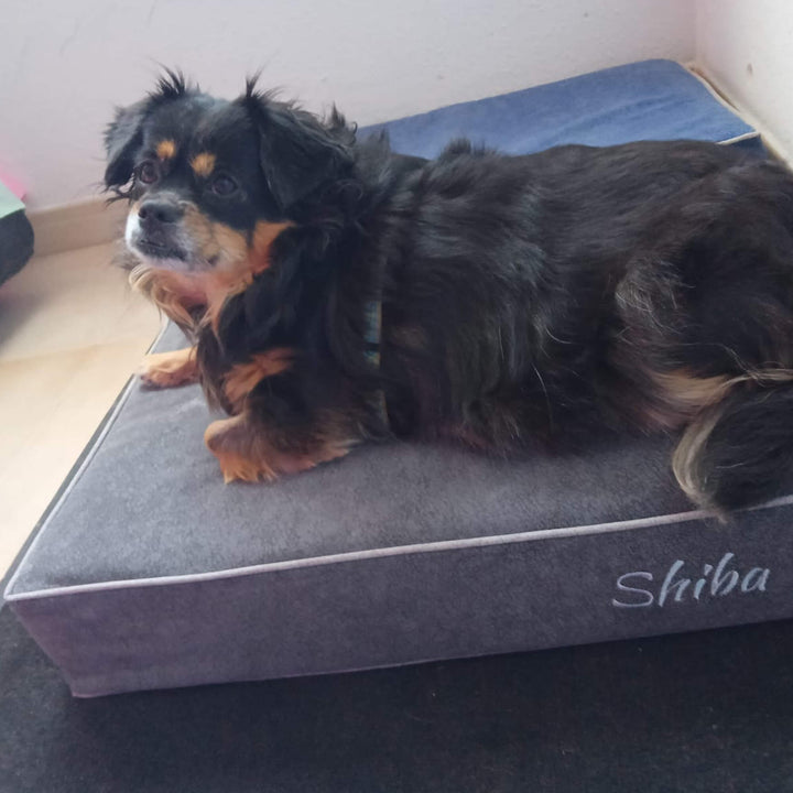 perro en cama viscoelástica para perros con su nombre bordado