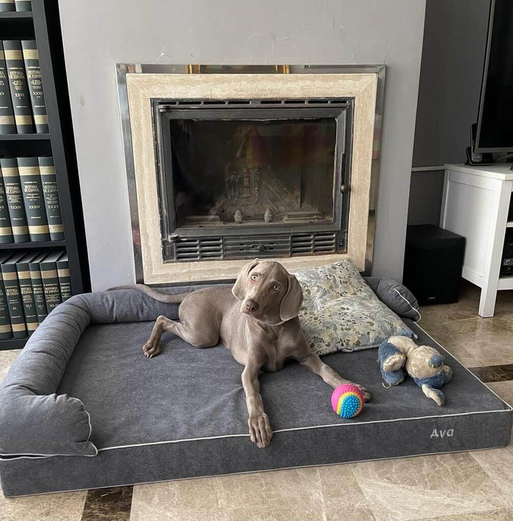 perro grande en cama viscoelástica para perros con su nombre bordado de baluka mascotas