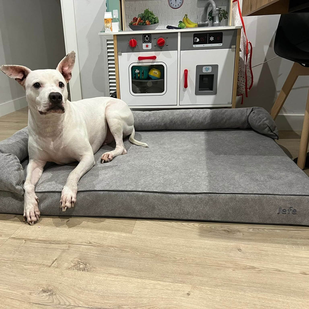 perro en cama viscoelástica para perros con su nombre bordado