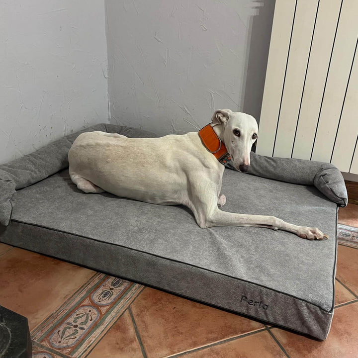 galgo en cama viscoelástica para perros con su nombre bordado