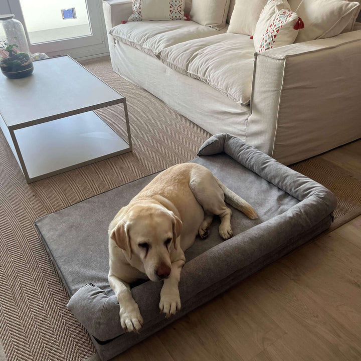 perro labrador grande en cama viscoelástica para perros