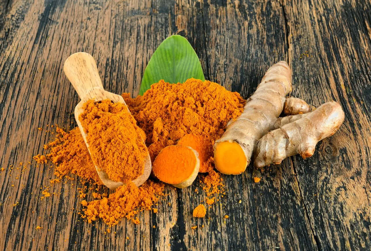 Beneficios de la cúrcuma en perros y gatos