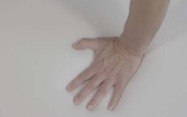 Comodidad y apoyo: Los beneficios de las camas de viscoelástica para perros