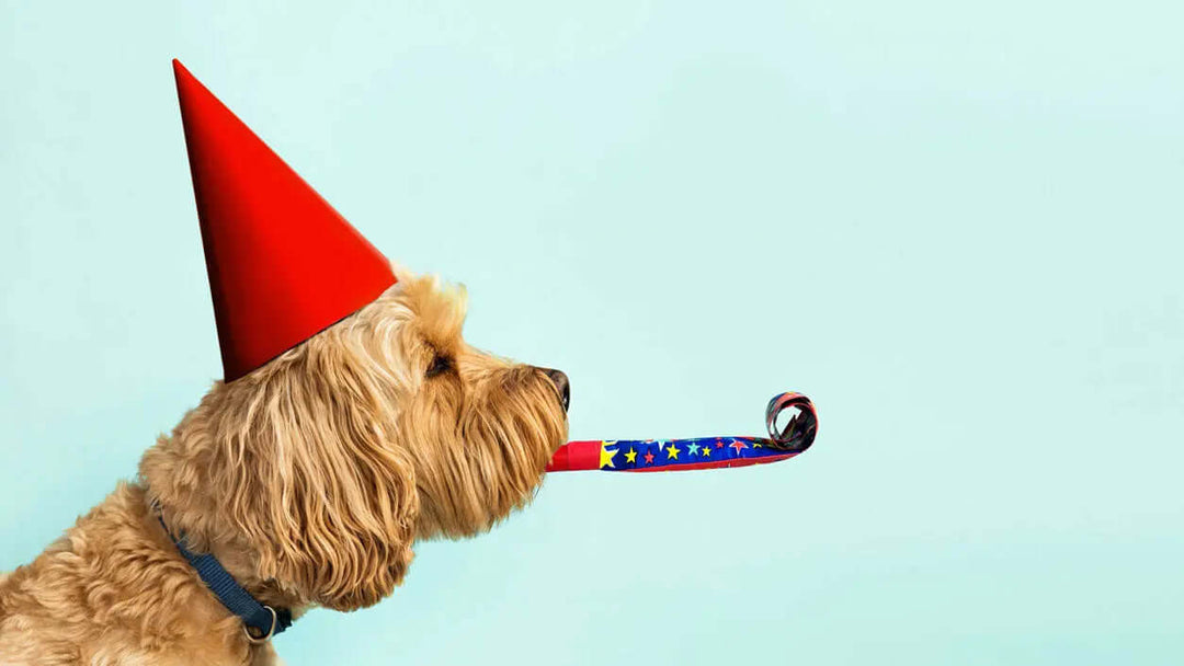 el mejor coach gratis