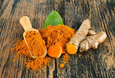 Benefits of turmeric in dogs and cats
