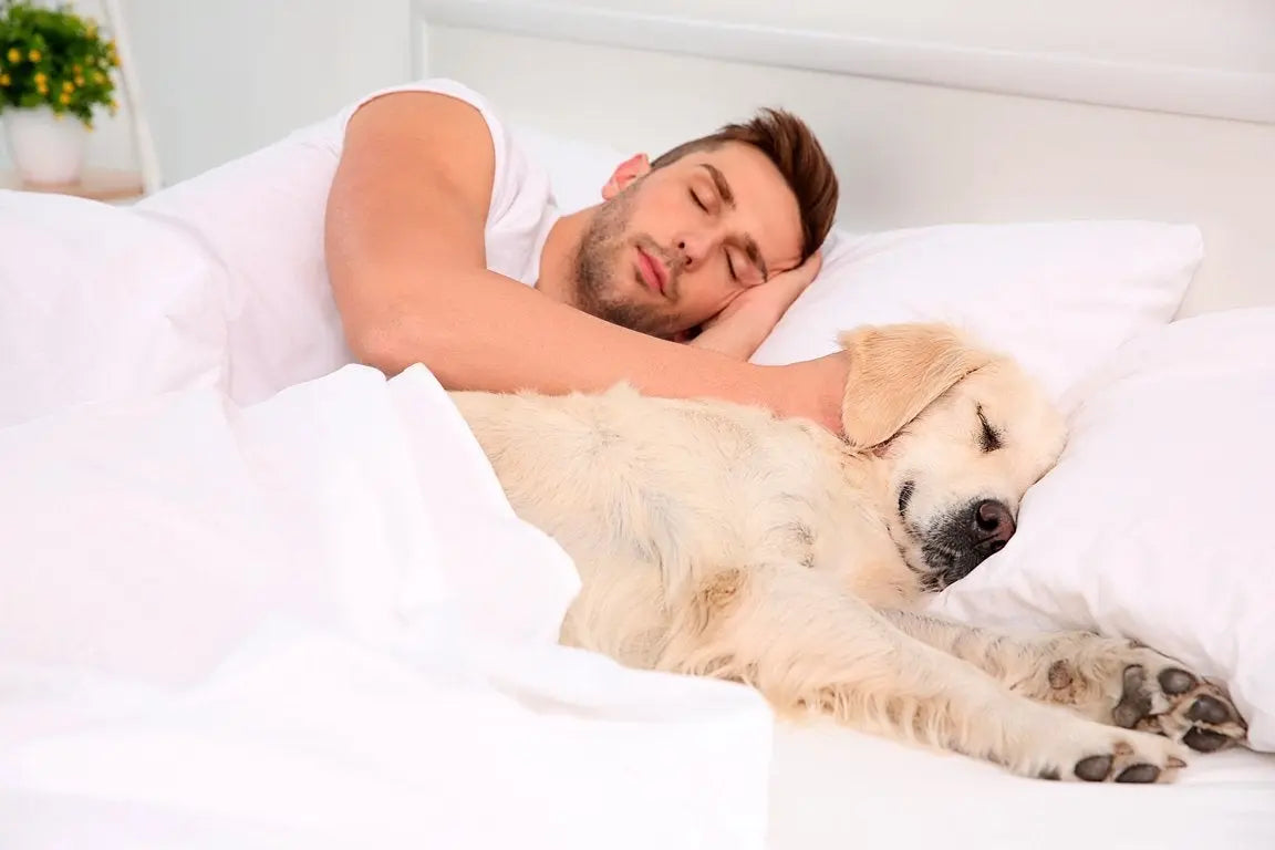 Dormir con tu perro es bueno o malo