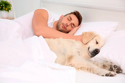 Sleeping with your dog is good or bad