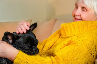 The 5 Best Dog Breeds for Seniors