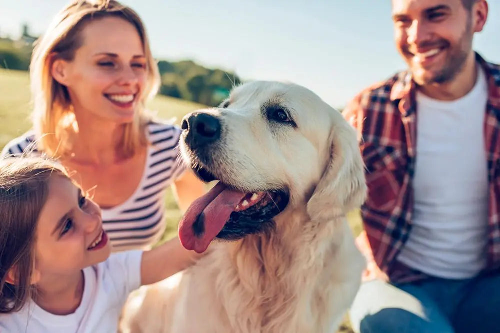 Las 6 mejores razas de perro para familias con niños