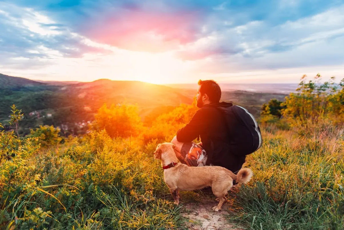 Las 6 mejores razas de perros para deportistas y amantes de la naturaleza