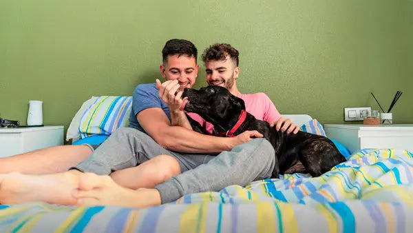 adoptando juntos a un perro