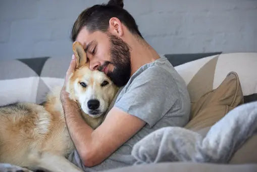 10 razones por las que los perros son los mejores compañeros
