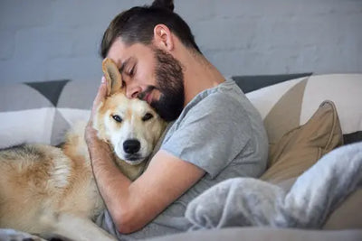10 raisons pour lesquelles les chiens sont les meilleurs compagnons