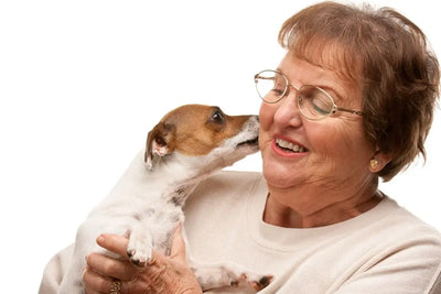 Benefícios da propriedade de animais de estimação para pessoas mais velhas