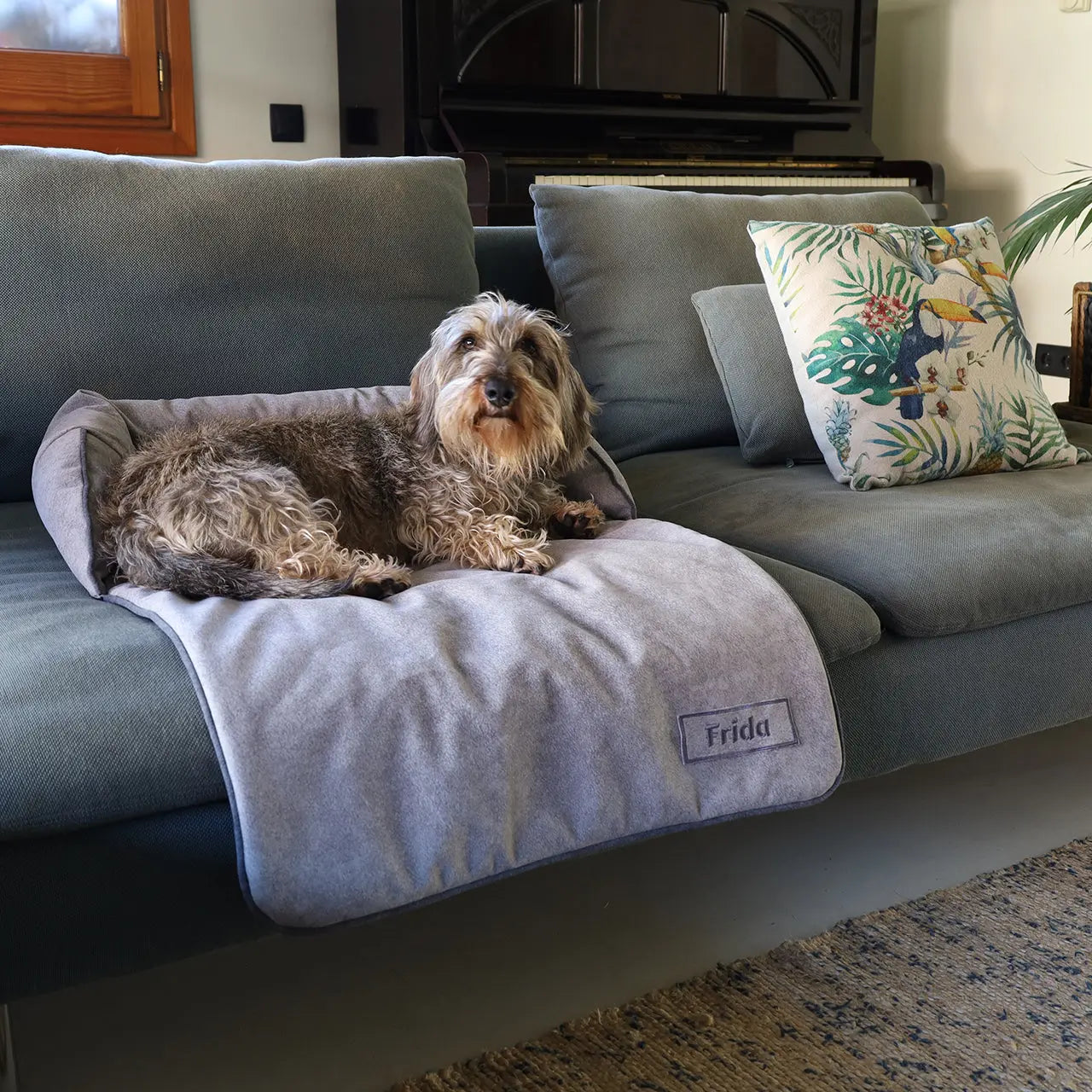 Mi mascota se sube al sofá… ¿debo dejarle?
