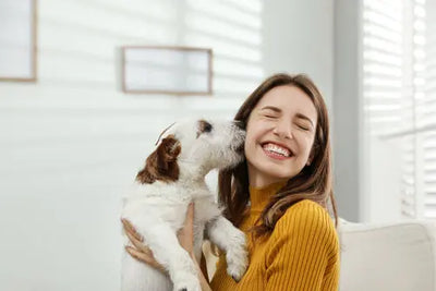 8 sinais de que o seu cão o ama
