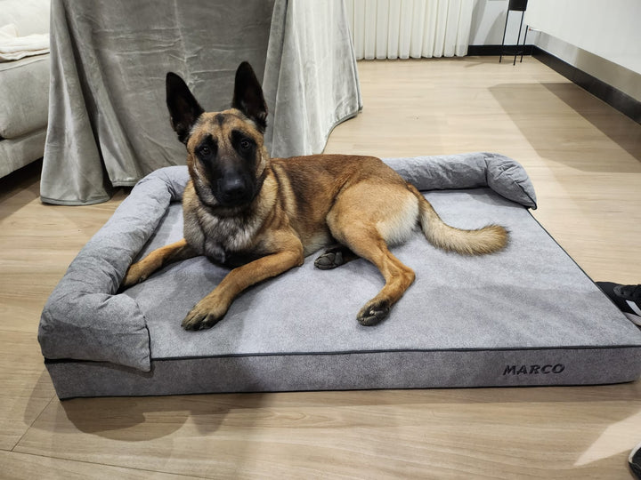 Cama viscoelástica para perro