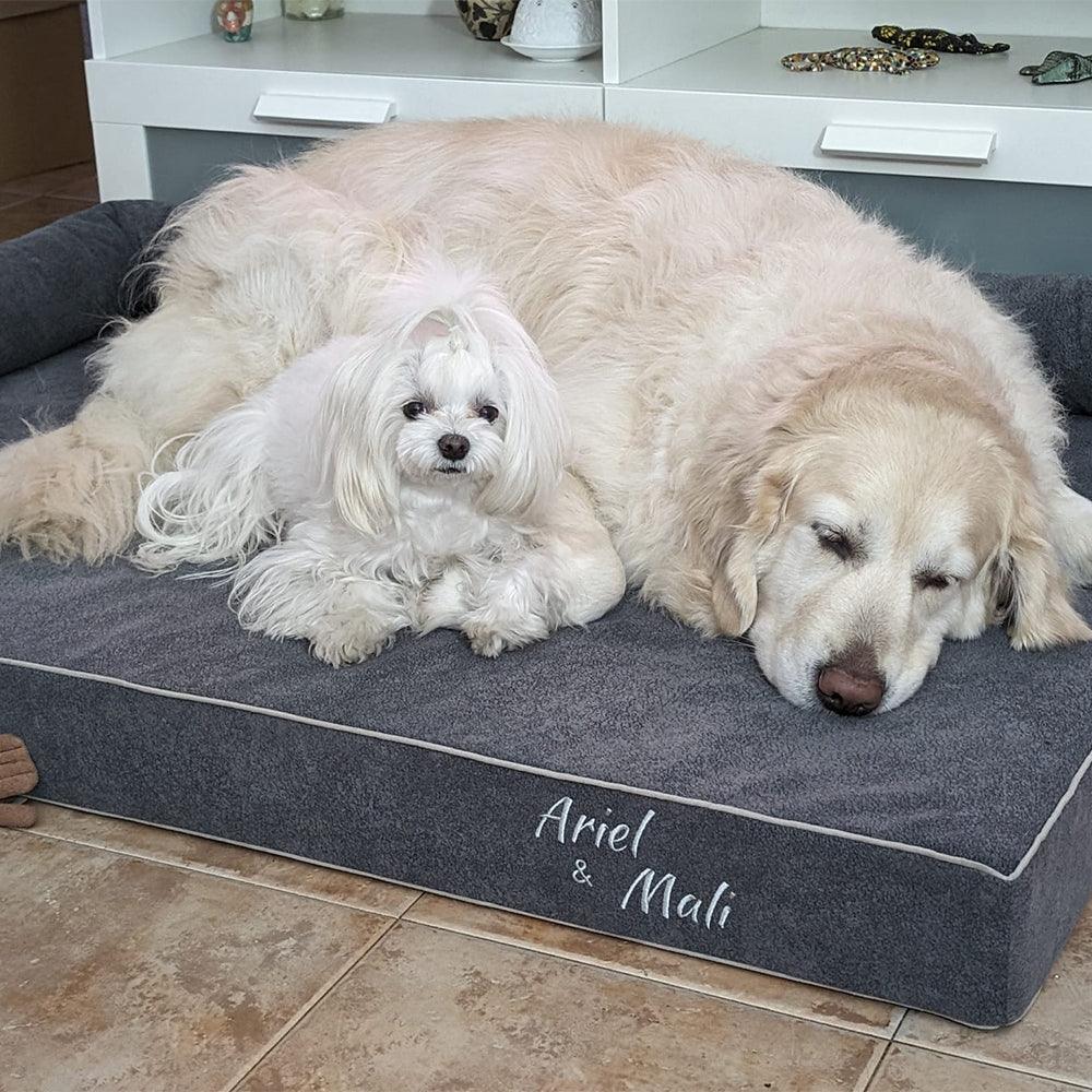 Cama viscoelástica para perro