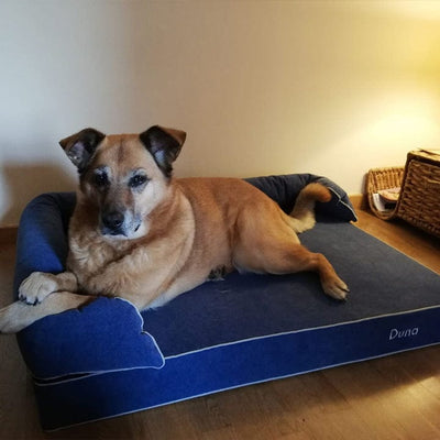 Memory foam dog bed