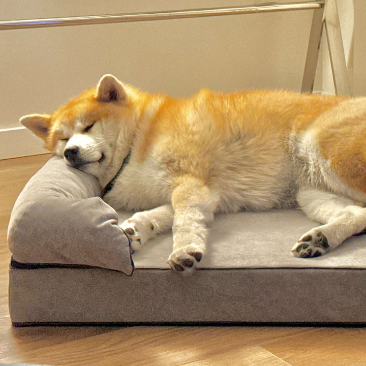 Perro durmiendo en una cama viscoelástica para perros, mostrando confort y descanso reparador.