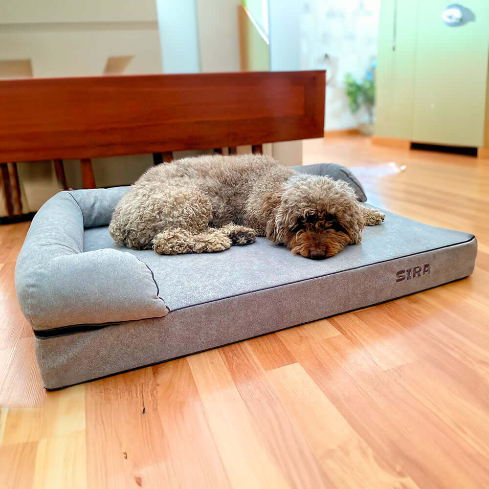 perro de aguas en cama viscoelástica para perros con su nombre bordado de baluka mascotas