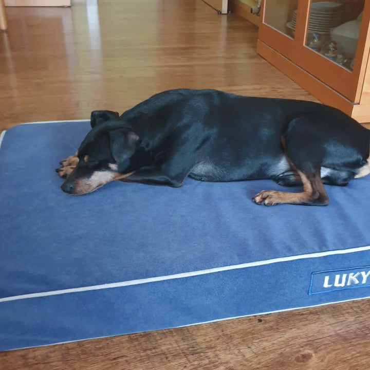Perro descansando en una cama viscoelástica para perros, con un diseño cómodo y elegante.