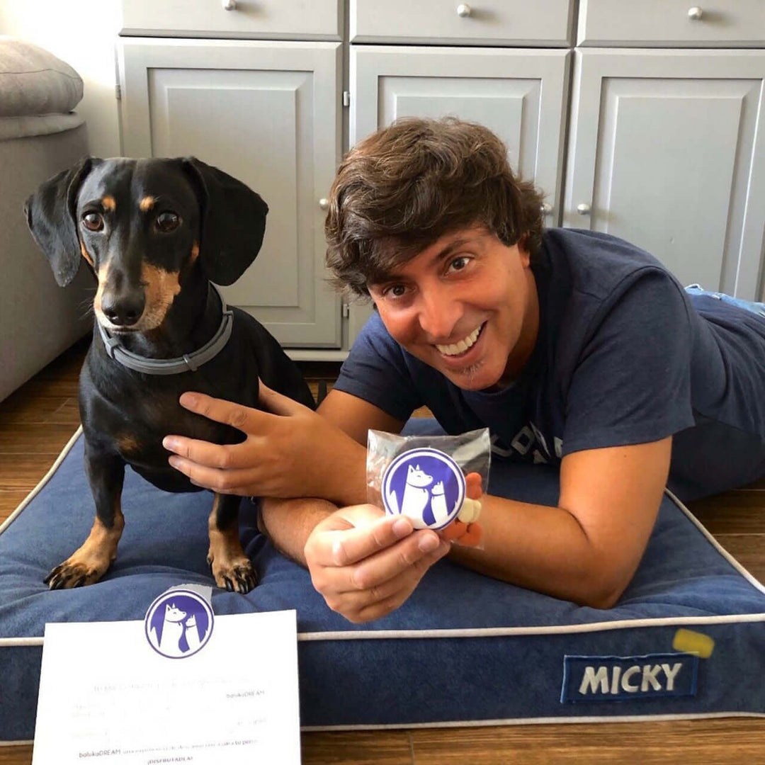 Hombre sonriente junto a perro en cama viscoelástica para perros, sosteniendo un producto baluka.