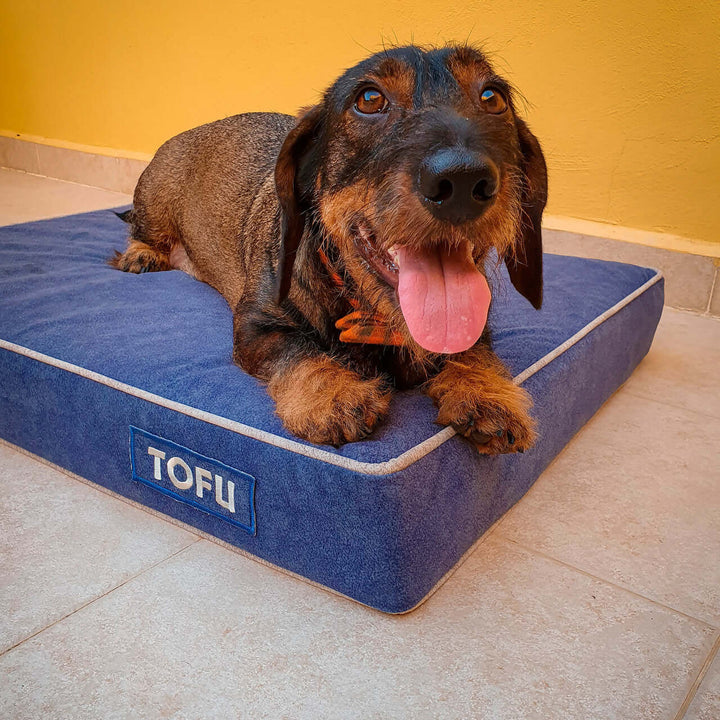 Cama viscoelástica para perros con un perro feliz acostado sobre ella, fondo amarillo.