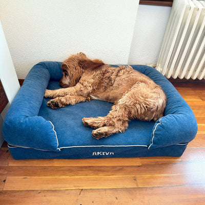 Memory foam dog bed