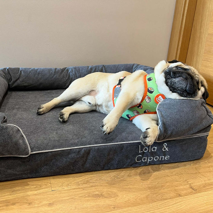 Perro descansando en una cama viscoelástica para perros alta gama con un diseño acogedor.