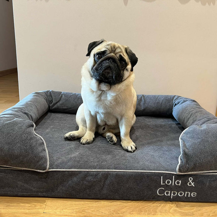 Cama viscoelástica para perros con un pug sentado sobre ella, mostrando comodidad y estilo.