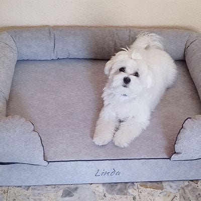 Cama viscoelástica para perros Baluka con almohada desmontable en gris claro para pichón maltés Linda