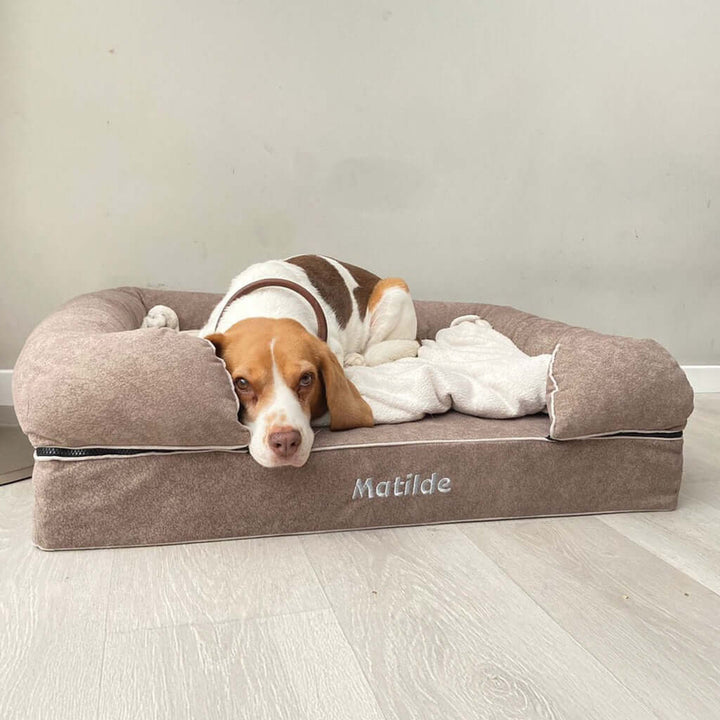 Cama viscoelástica para perros con un beagle descansando cómodamente y una manta.