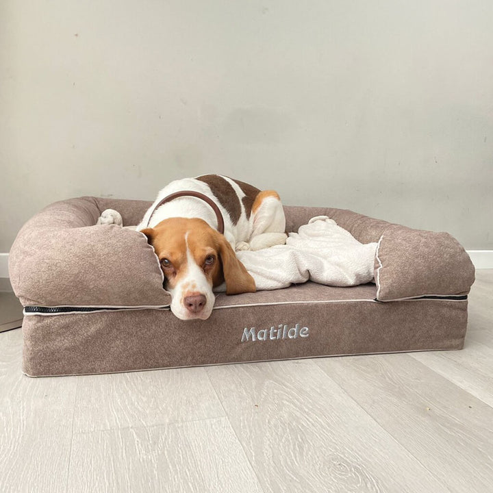 Acheter lit pour chien viscoélastique