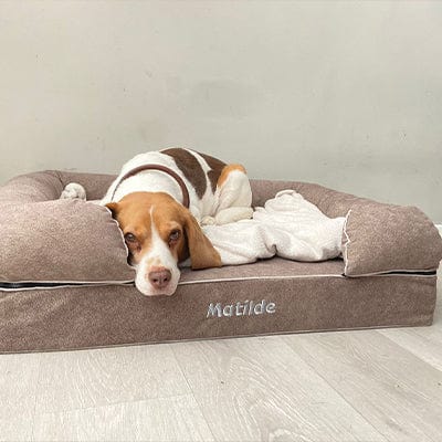 Cama viscoelástica para perros Baluka con almohada desmontable en marrón para beagle Matilde