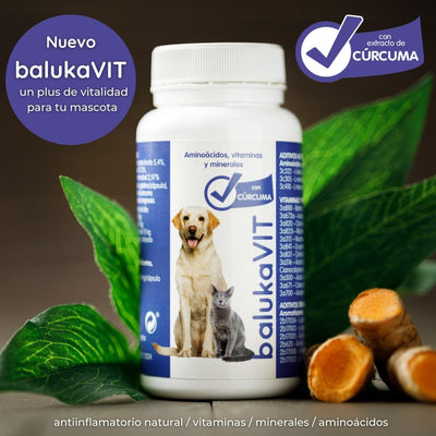 vitaminas para perros y gatos con cúrcuma antiinflamatorio natural