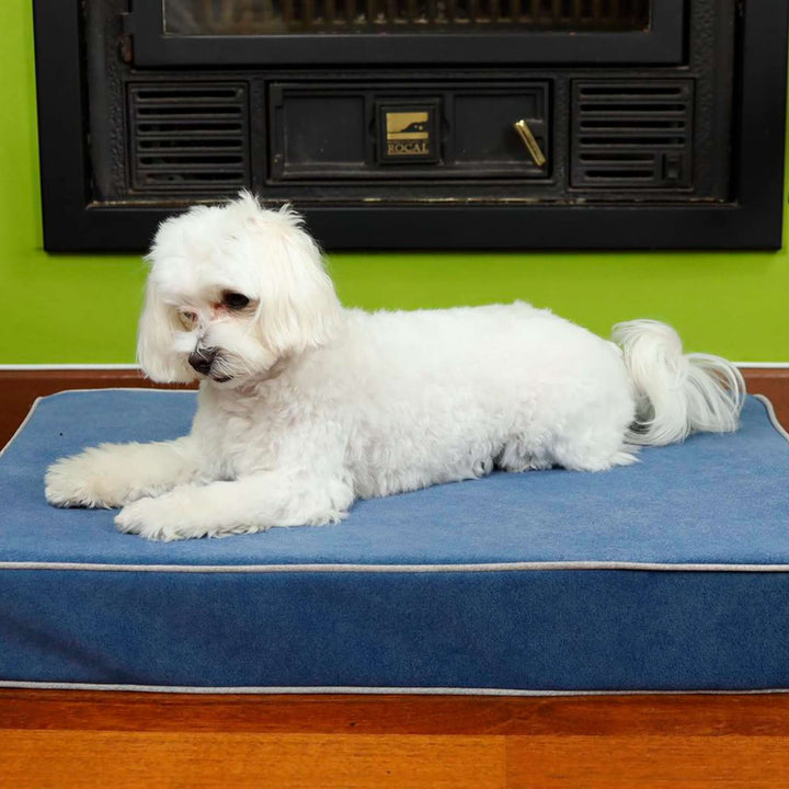 Cama baluka viscoelástica tamaño S para perros, con diseño ergonómico y máximo confort.